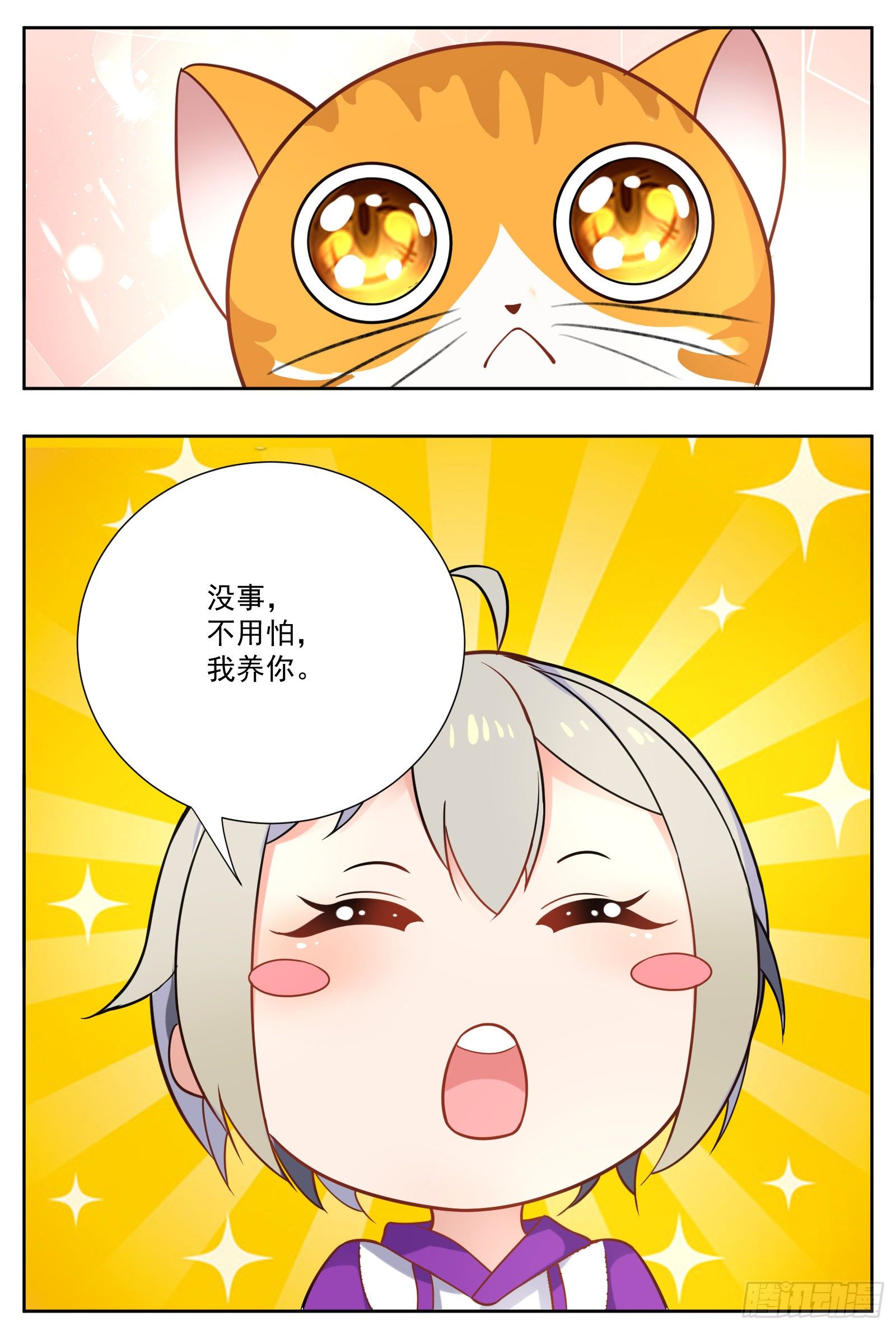 猫咪32