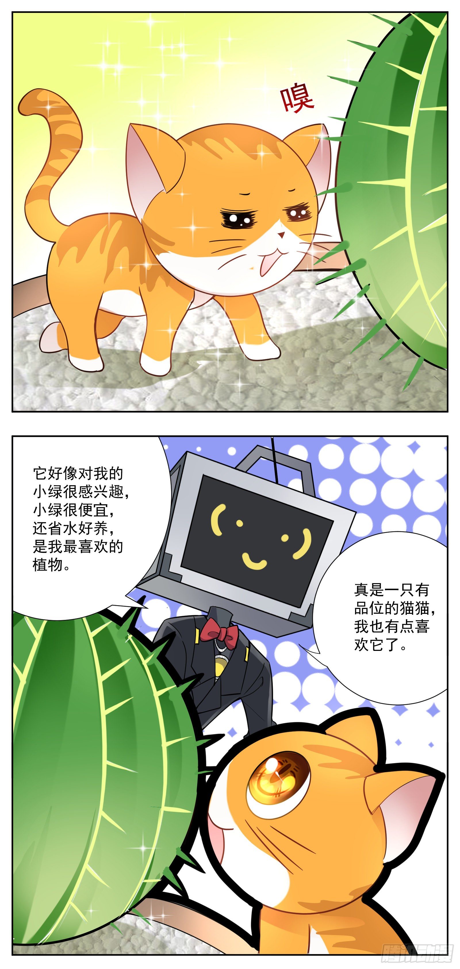 猫咪25