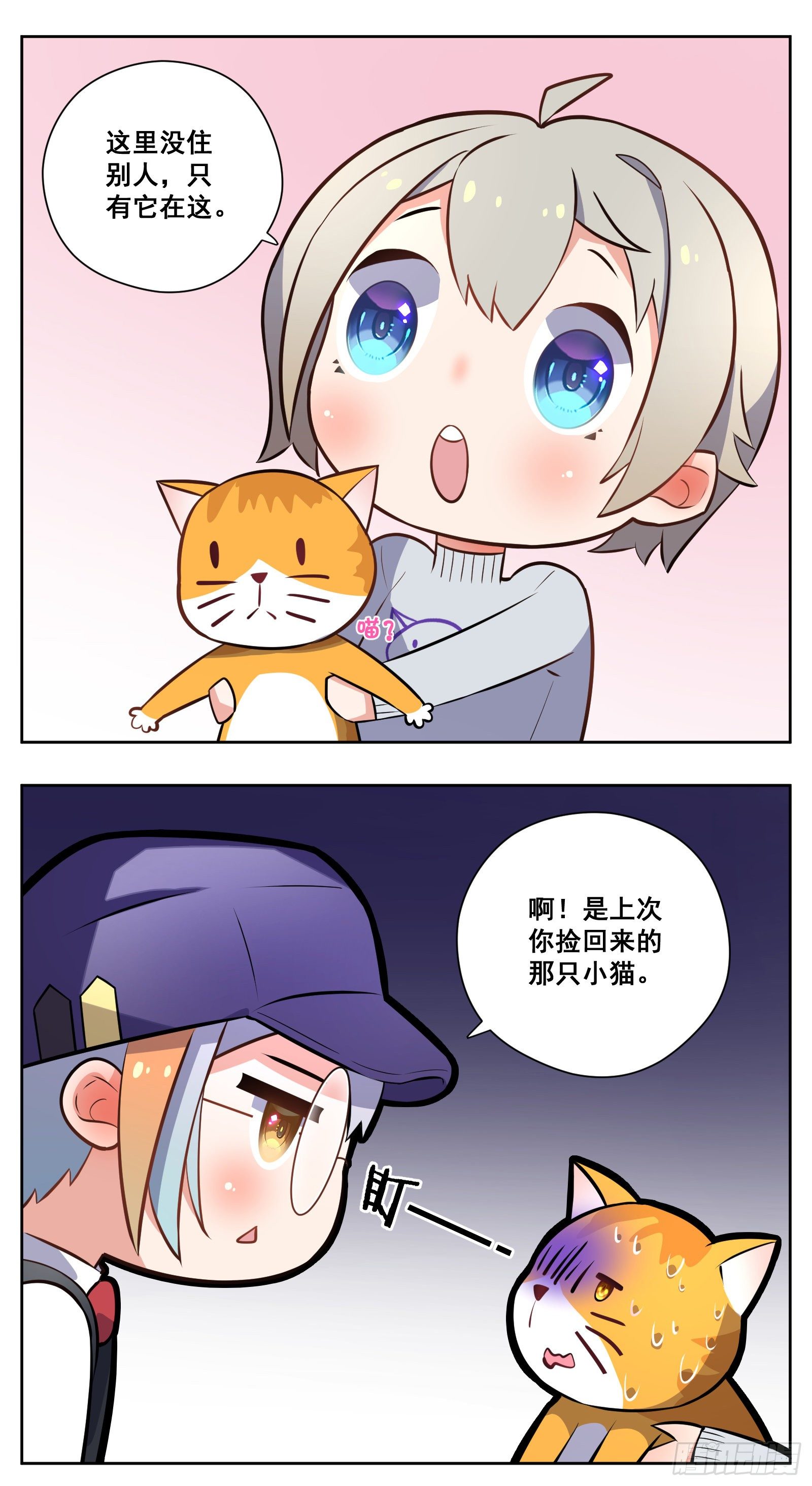 收养24