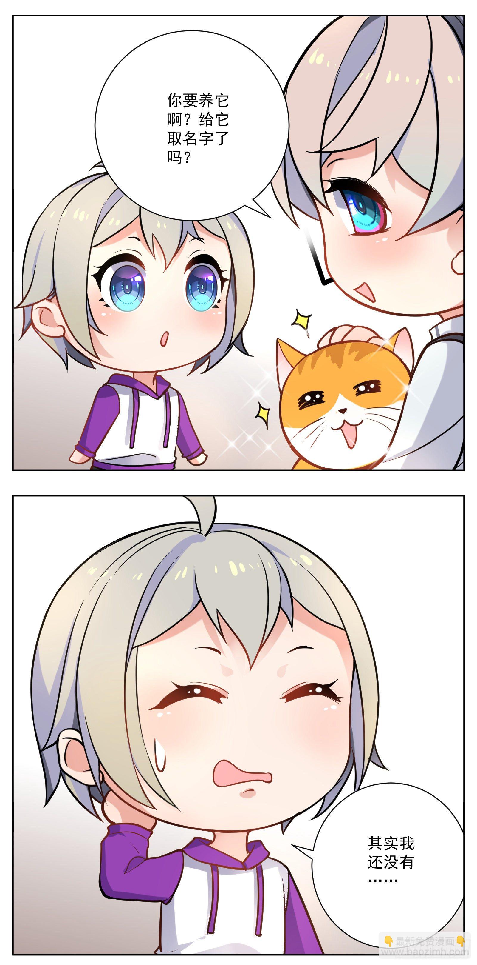 猫咪7