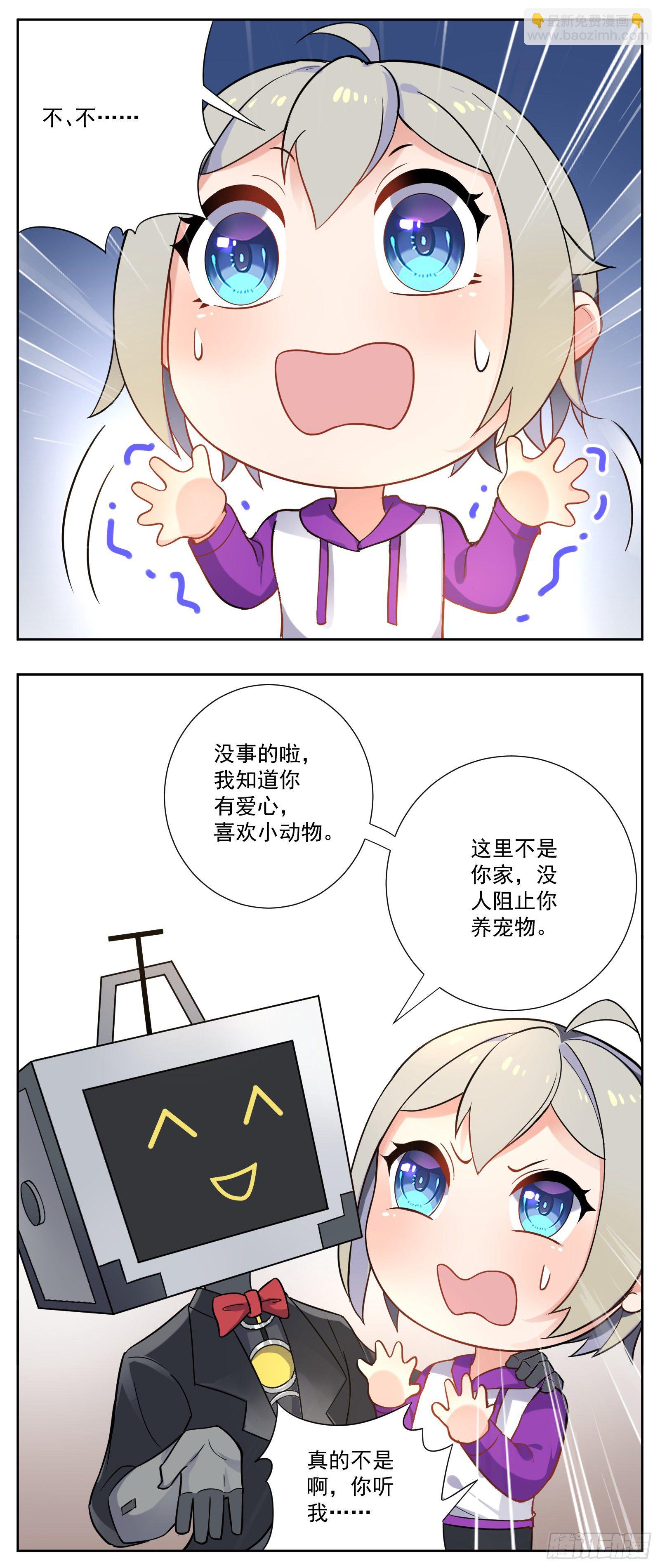 猫咪12