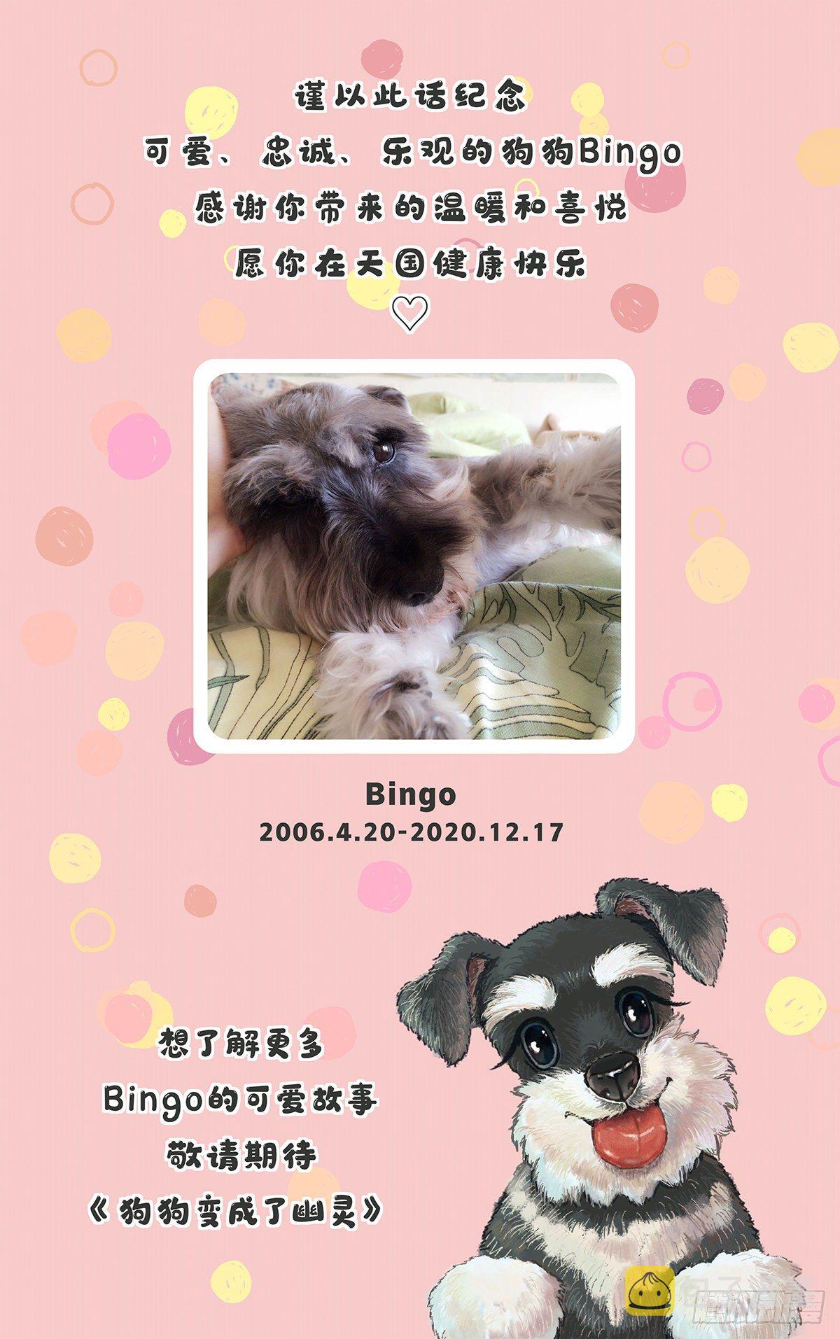 Bingo Go Go Go!15