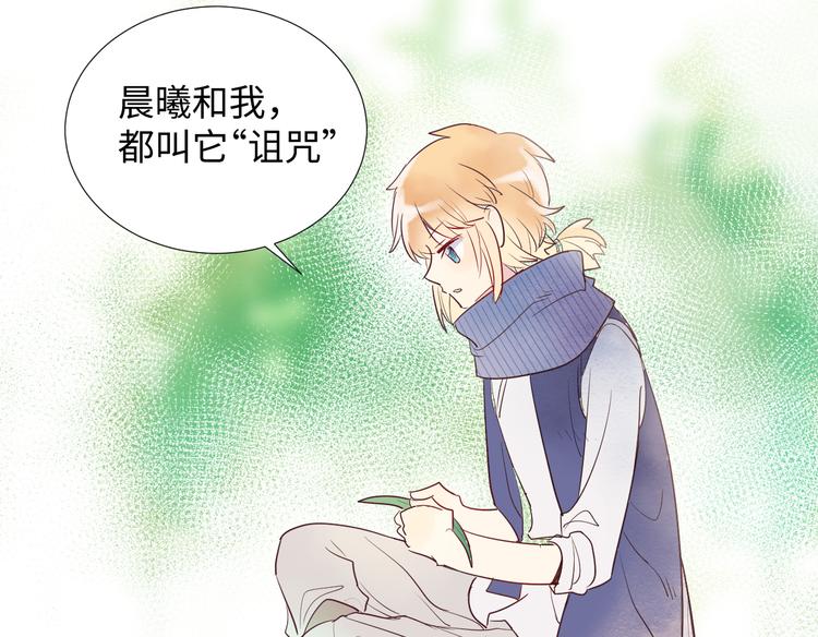 第5话 光117