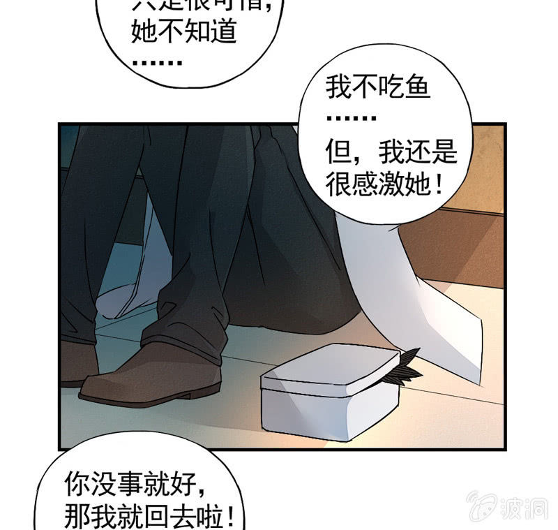 鱼杀手，影夜语211