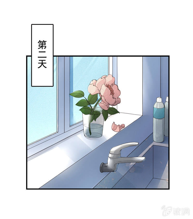 鱼杀手，影夜语11