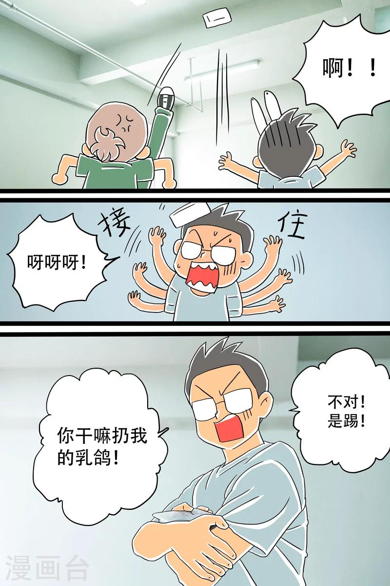 第12话 酱乳鸽上篇6