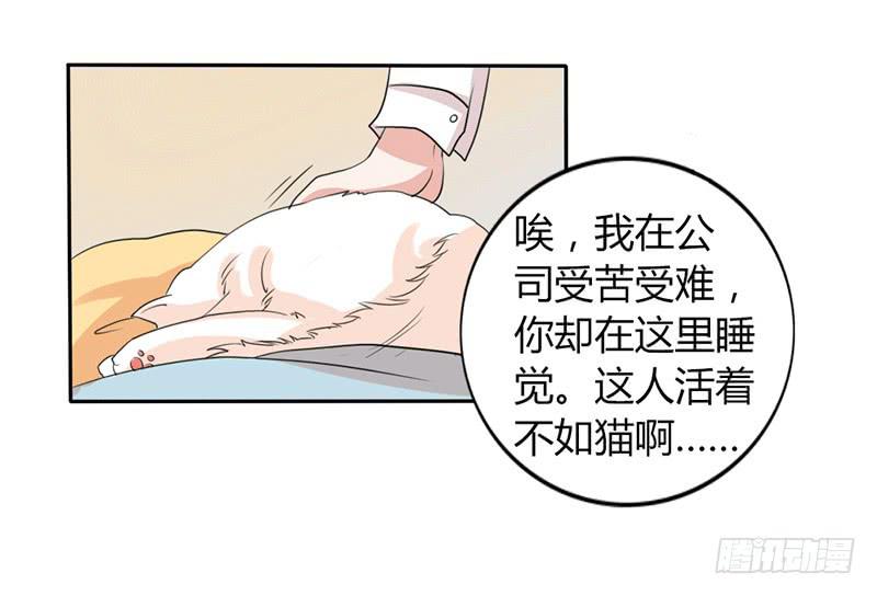 第九话19