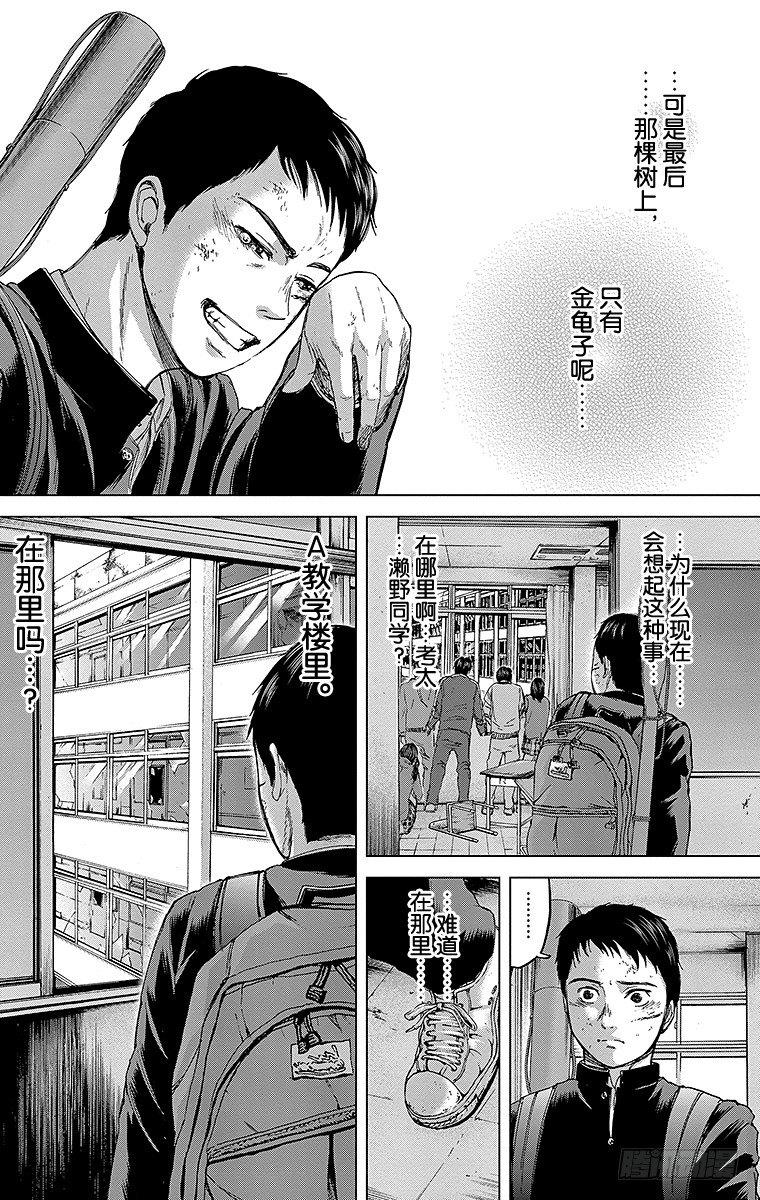 12课时 金龟子3