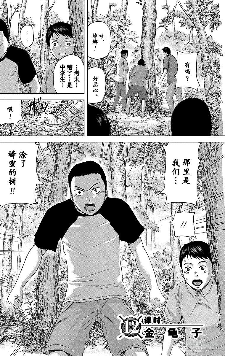12课时 金龟子1