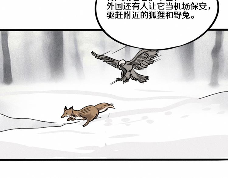 第10话 诈骗团伙？！126