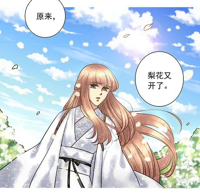 梨花树下再遇27