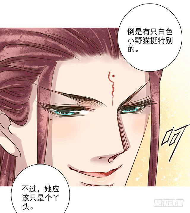 我的未婚夫21