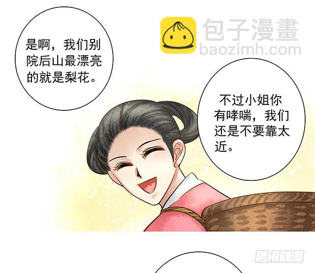 梨花树下再遇28