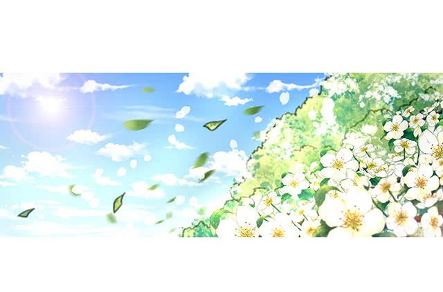 梨花树下再遇24