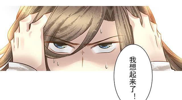 救国扶危的圣女8