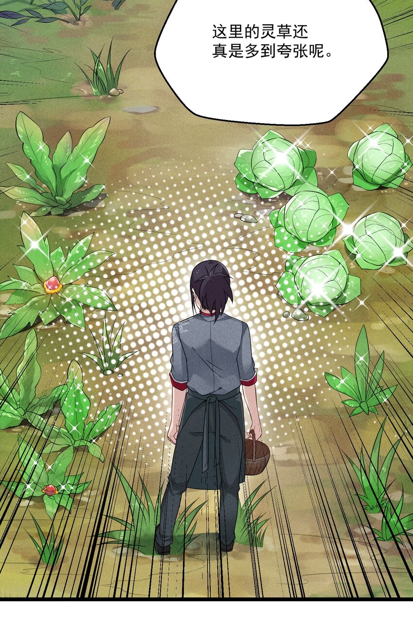 005 灵草园40
