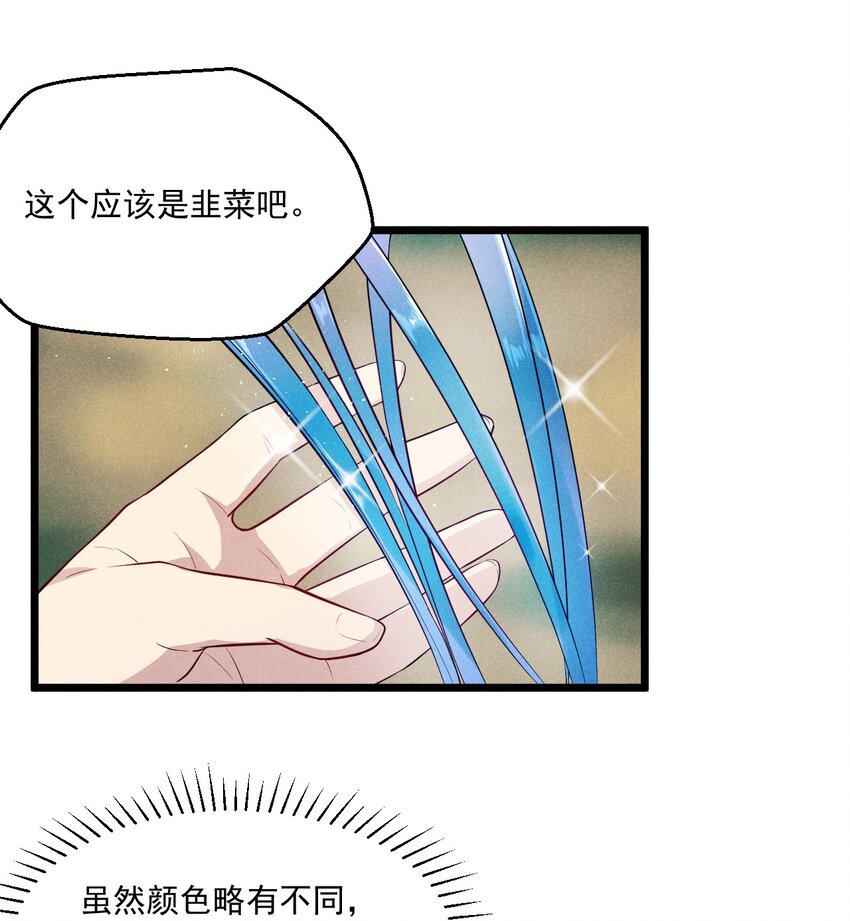 005 灵草园41