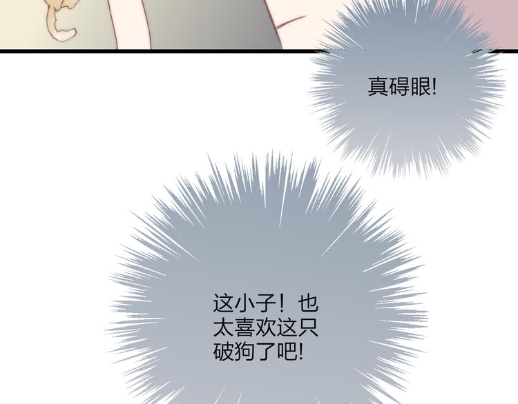 狗狗番外篇13