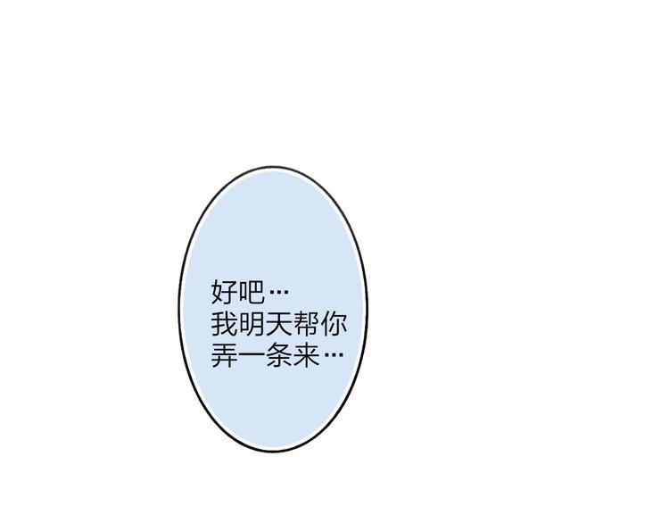 狗狗番外篇19