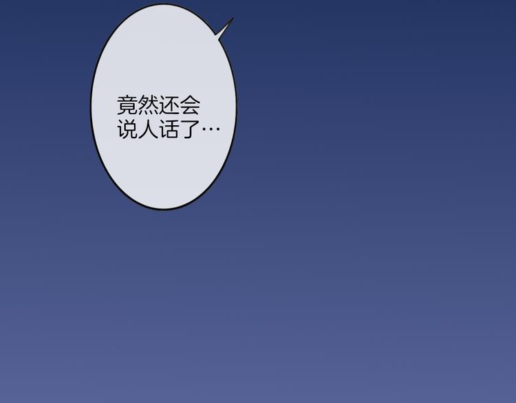 第66话  同居生活20