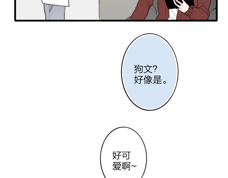 狗狗番外篇3