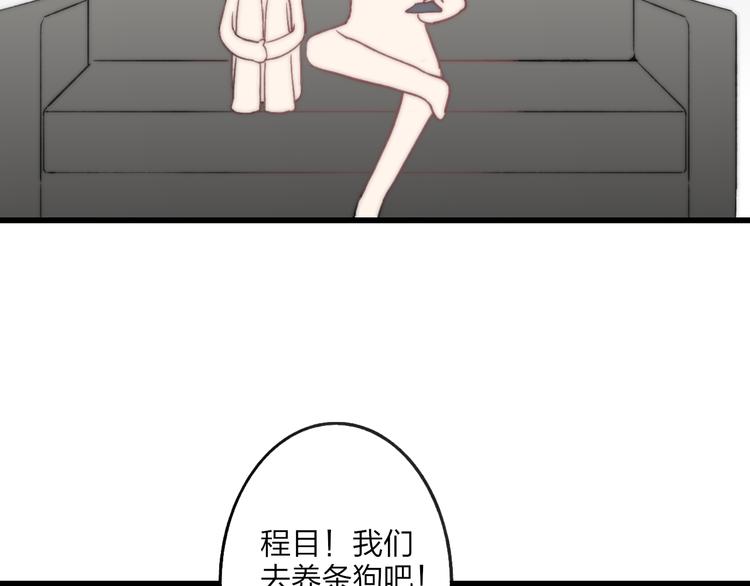 狗狗番外篇16