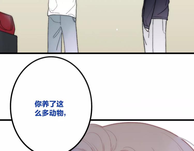 第25话 哥哥18