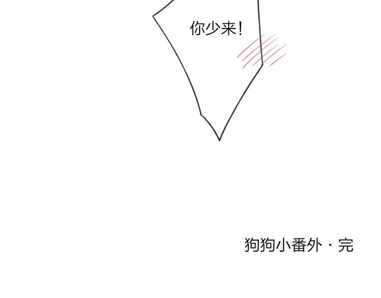 狗狗番外篇33