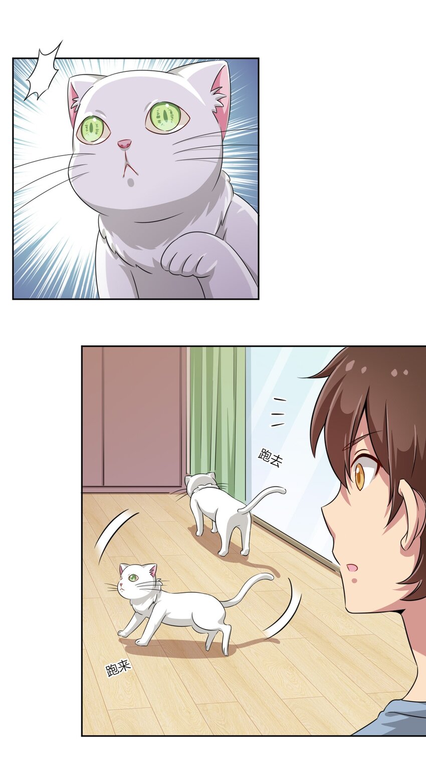 008 猫娘？喵娘？11