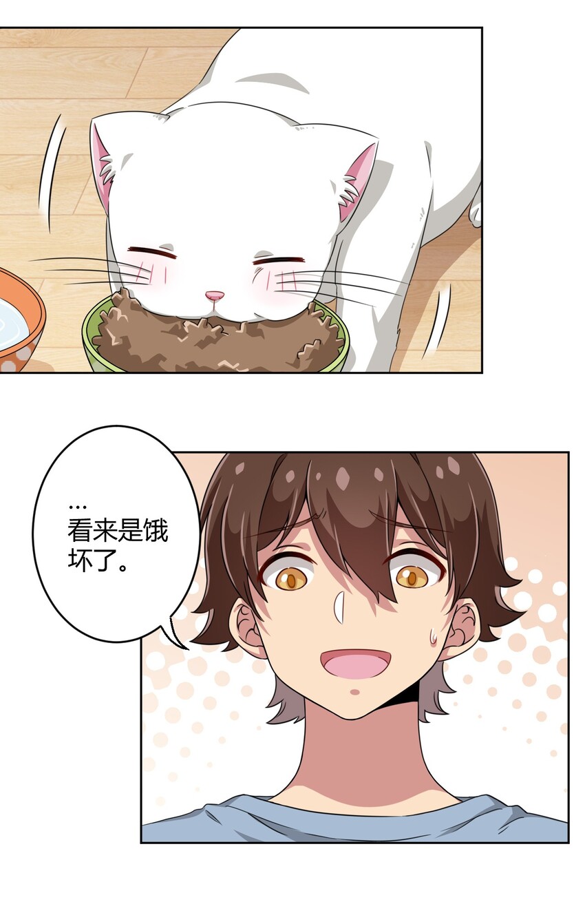 008 猫娘？喵娘？8