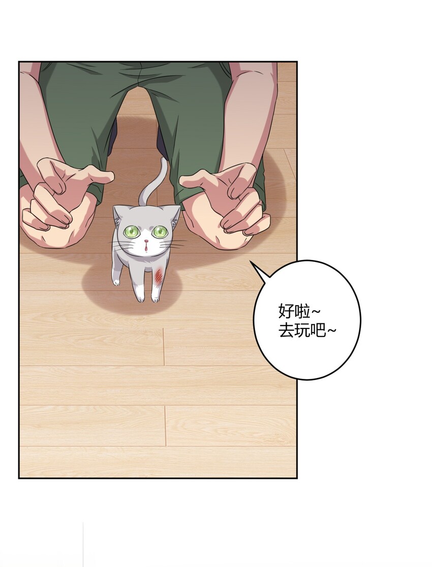 024 咪咪回来啦！28