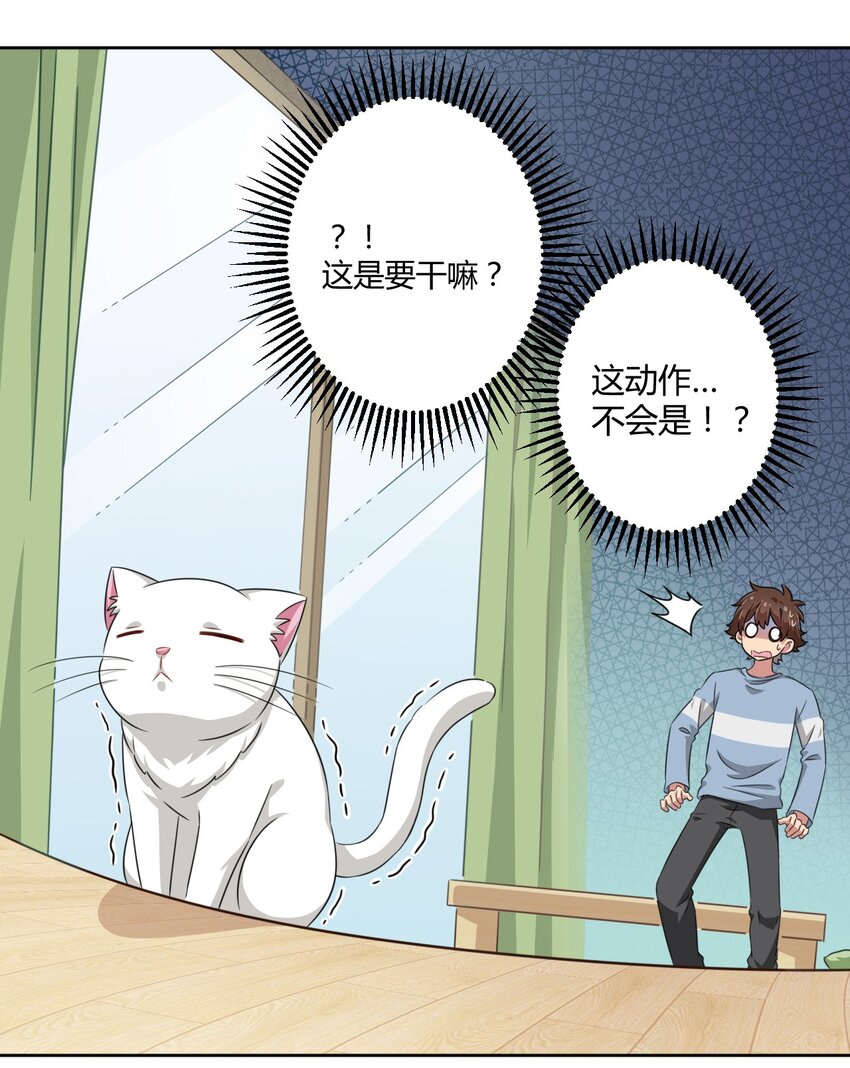 008 猫娘？喵娘？12