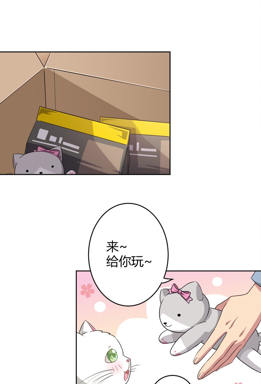 008 猫娘？喵娘？3