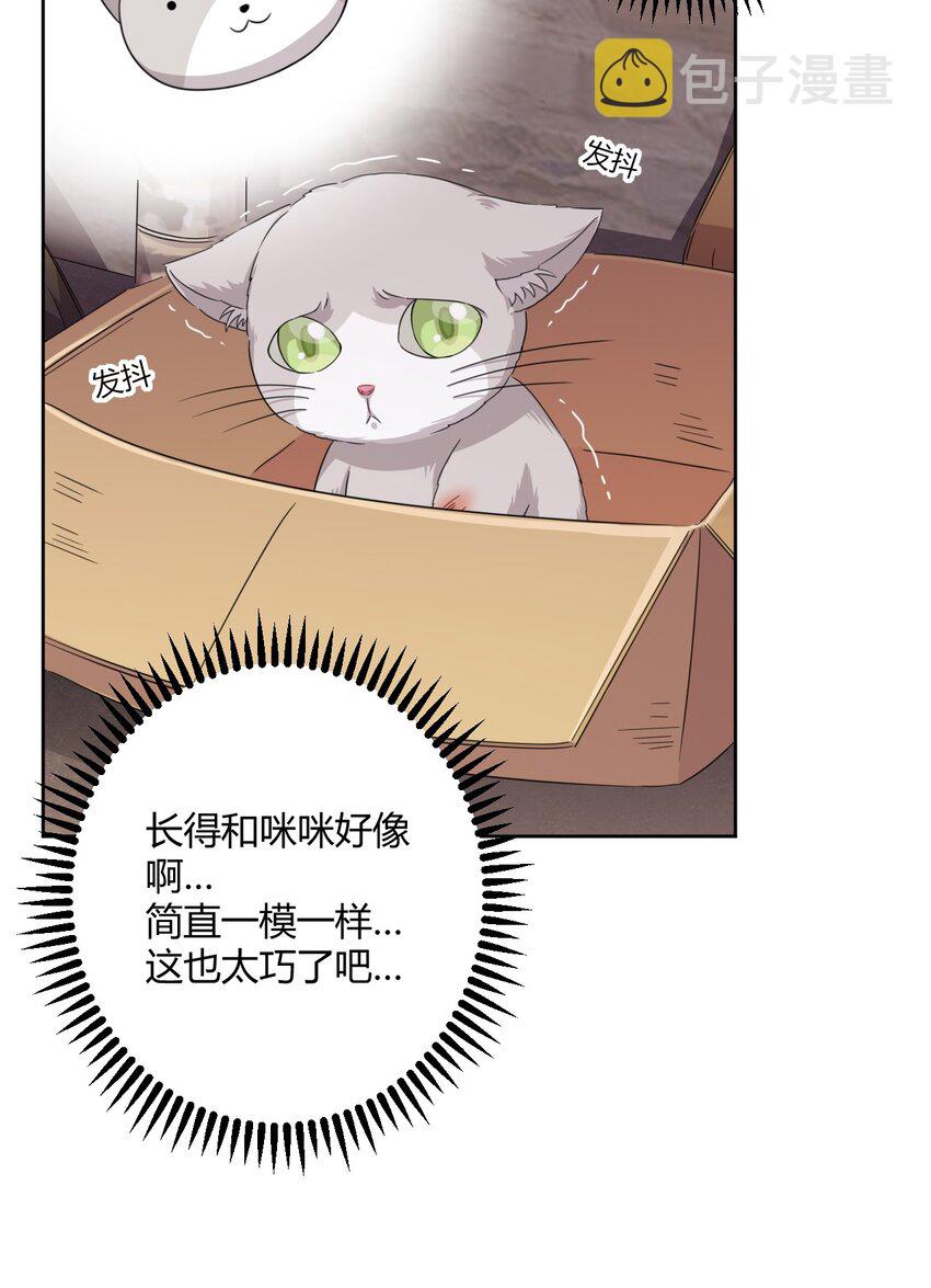 024 咪咪回来啦！21