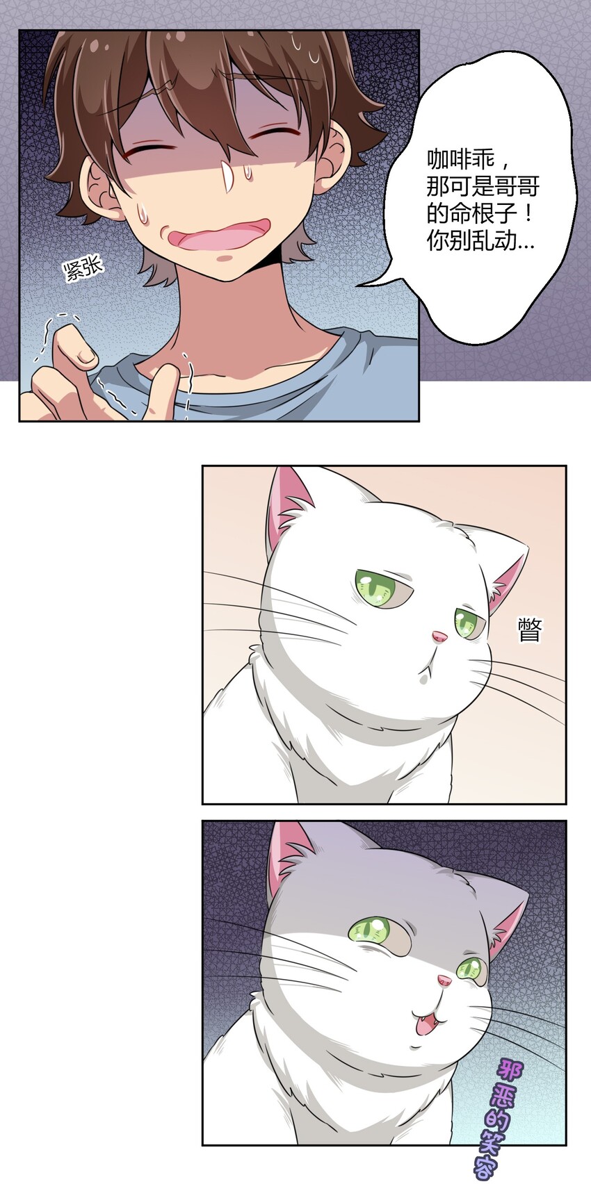 010 猫的报“恩”23