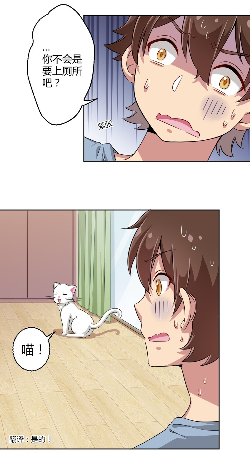 008 猫娘？喵娘？13