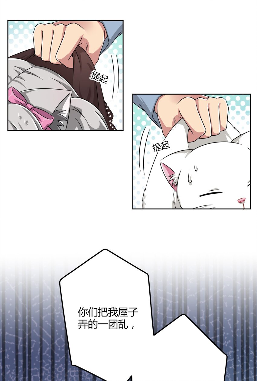 010 猫的报“恩”10