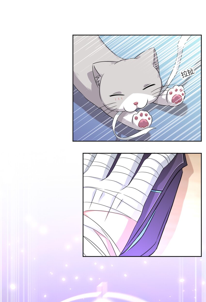 024 咪咪回来啦！38