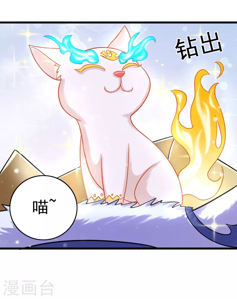 第422话 灵兽卵里孵出小奶猫27