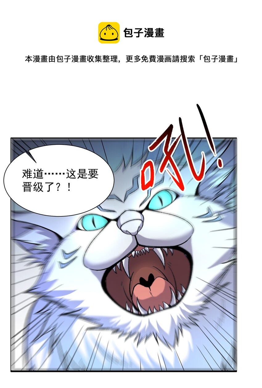 294 长生32