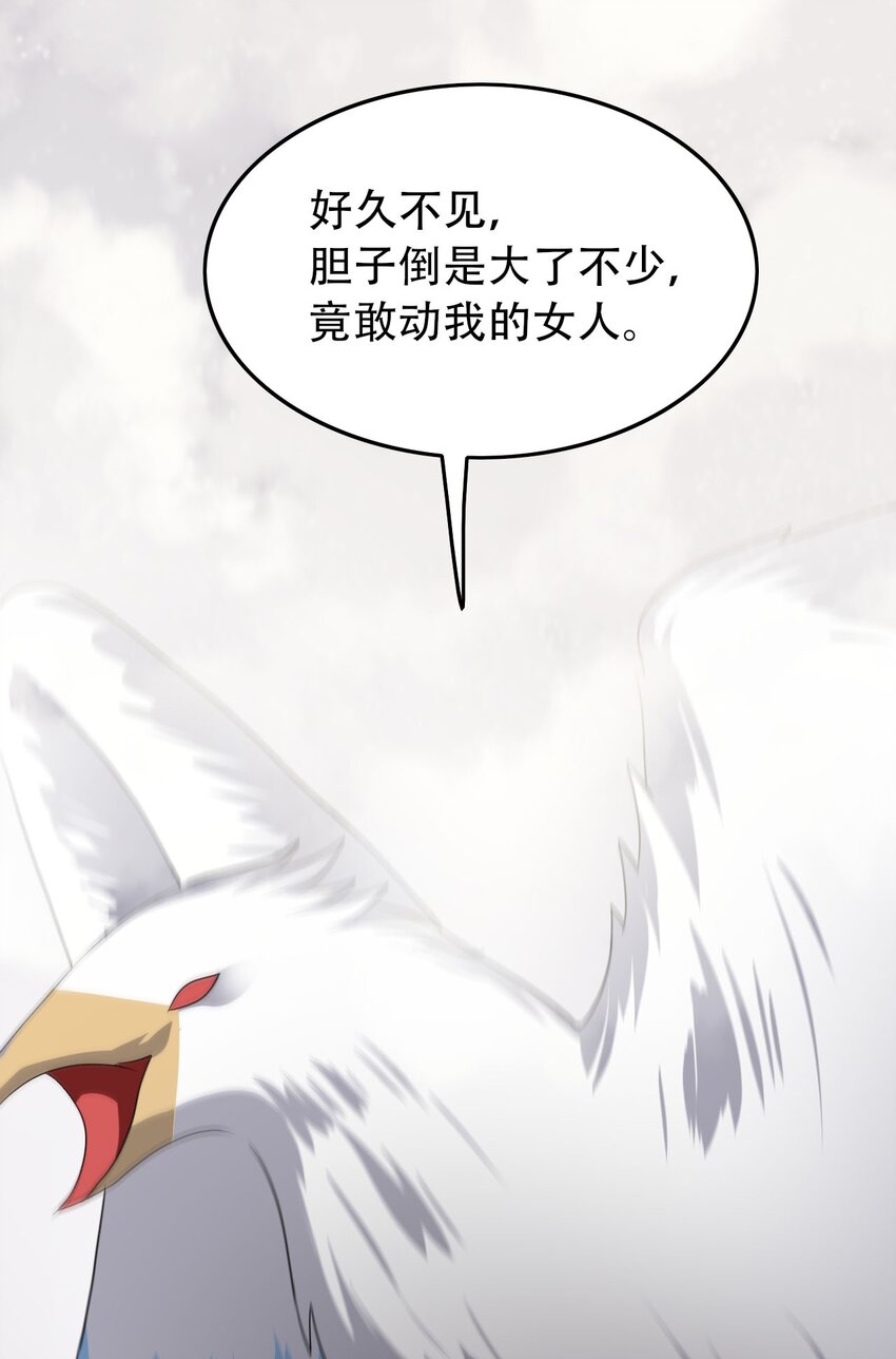 306 对峙29