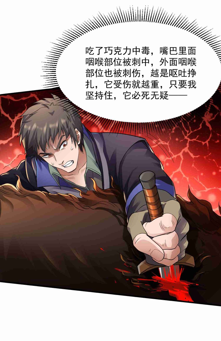 048 两只独狼的较量25