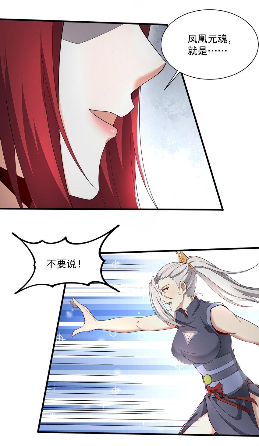 274 凤凰元魂的秘密22