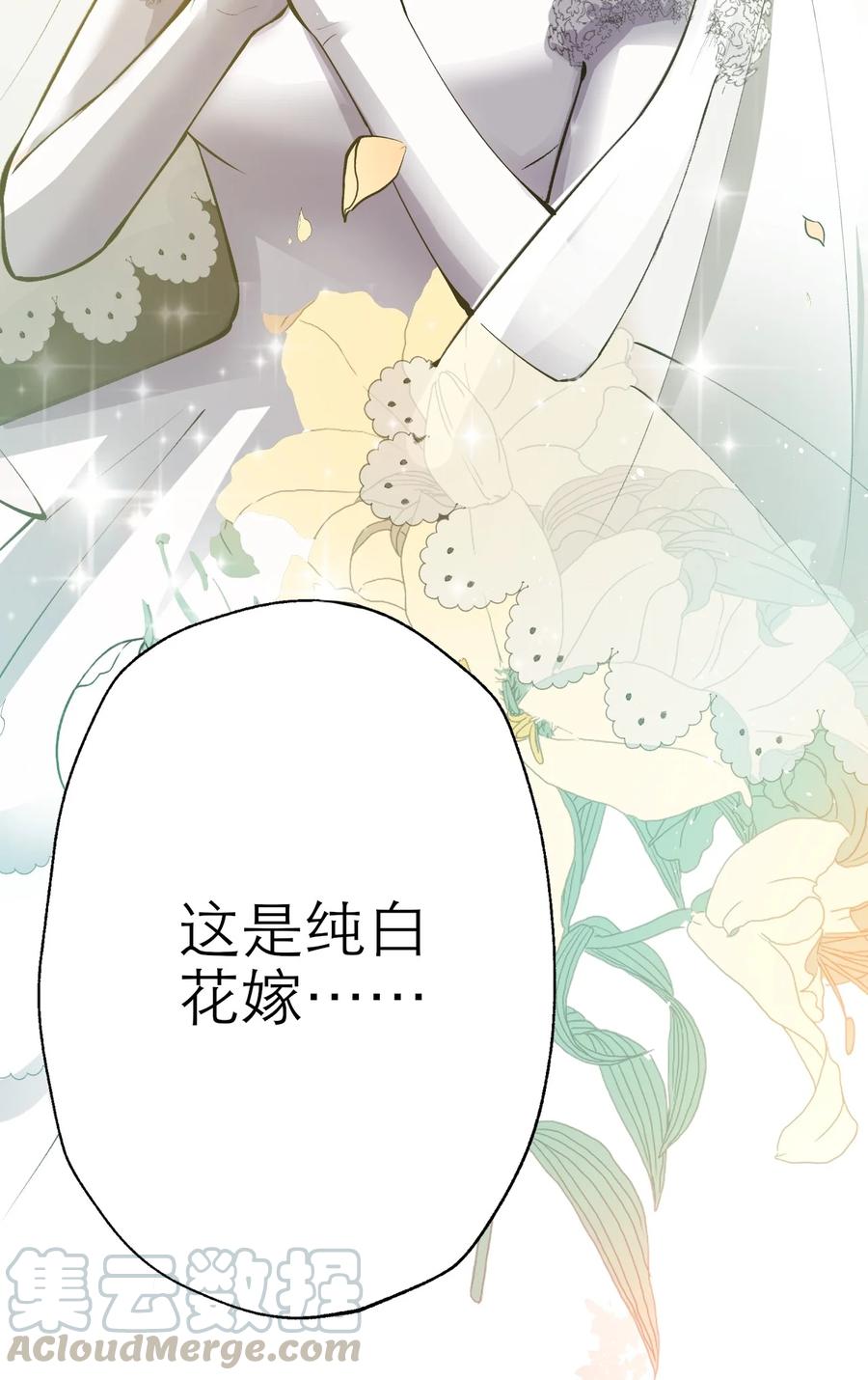 205 婚礼24