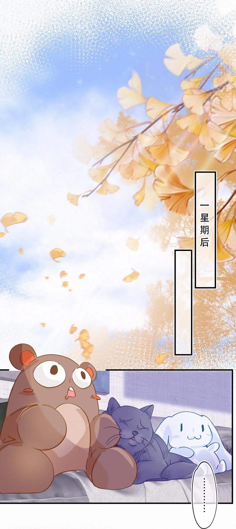 Chap.41 为什么关越也有两套？！2