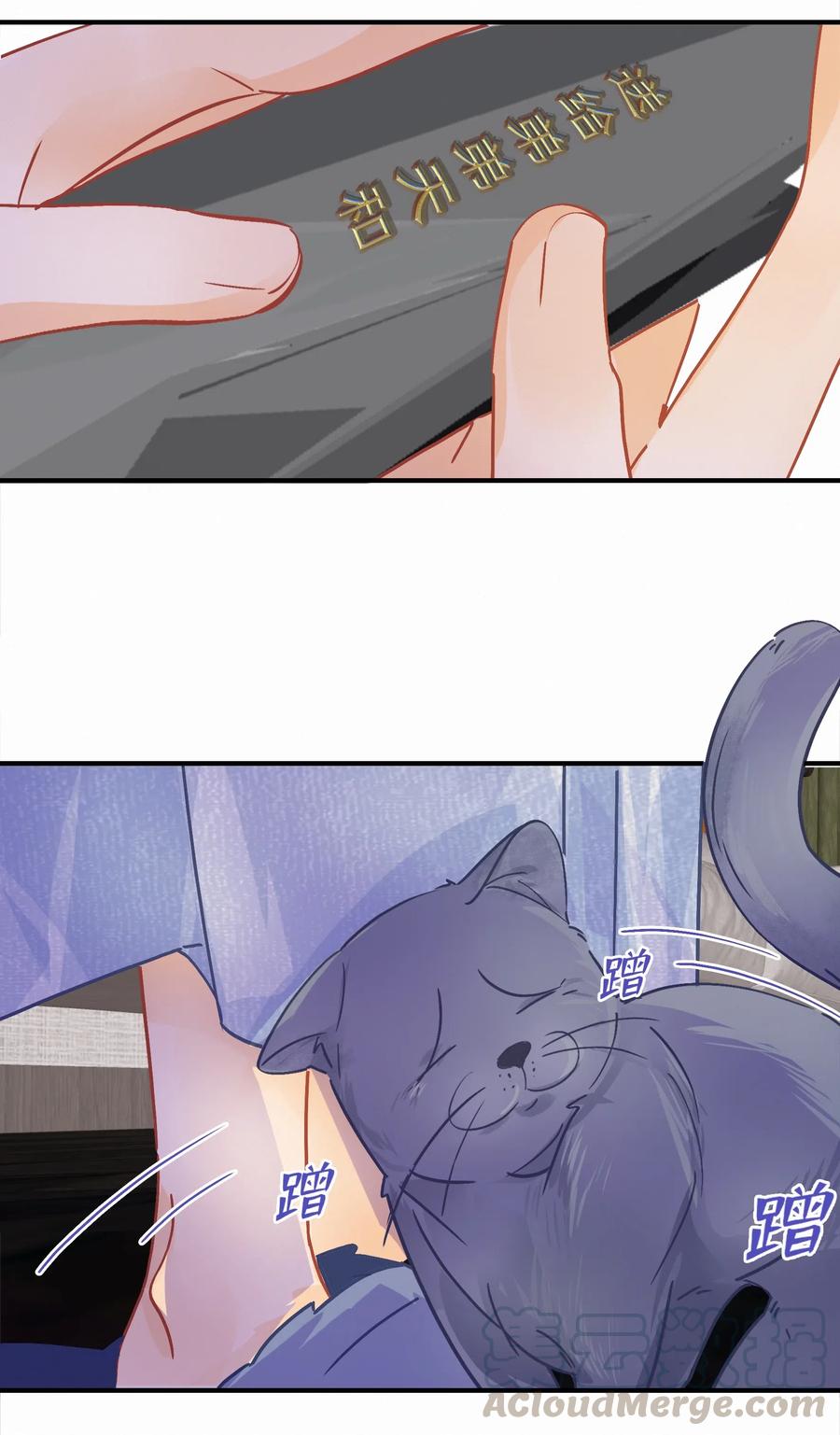 Chap.35 买一辆八成新和谐号12