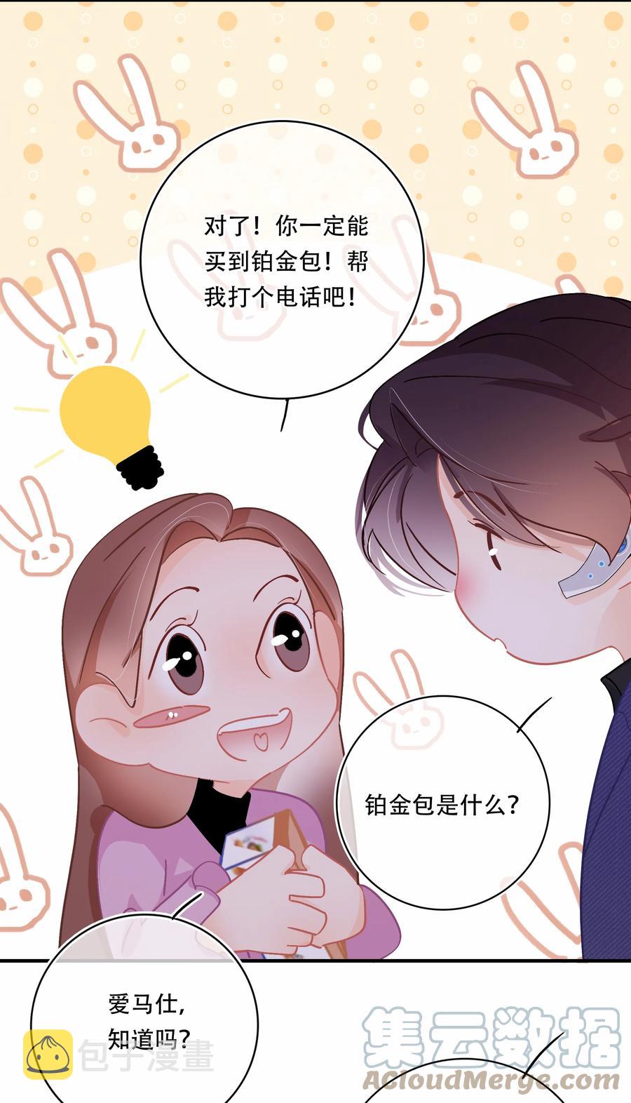 Chap.66 你一定能买到铂金包！4