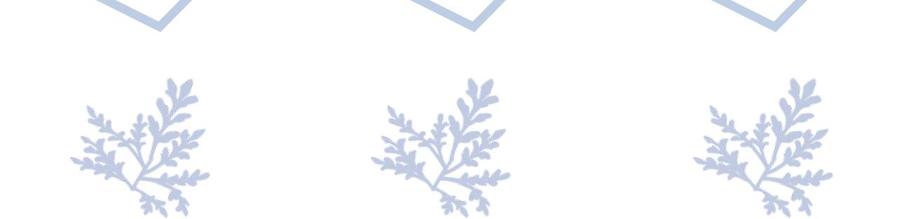 番外5 兄弟间大打出手94