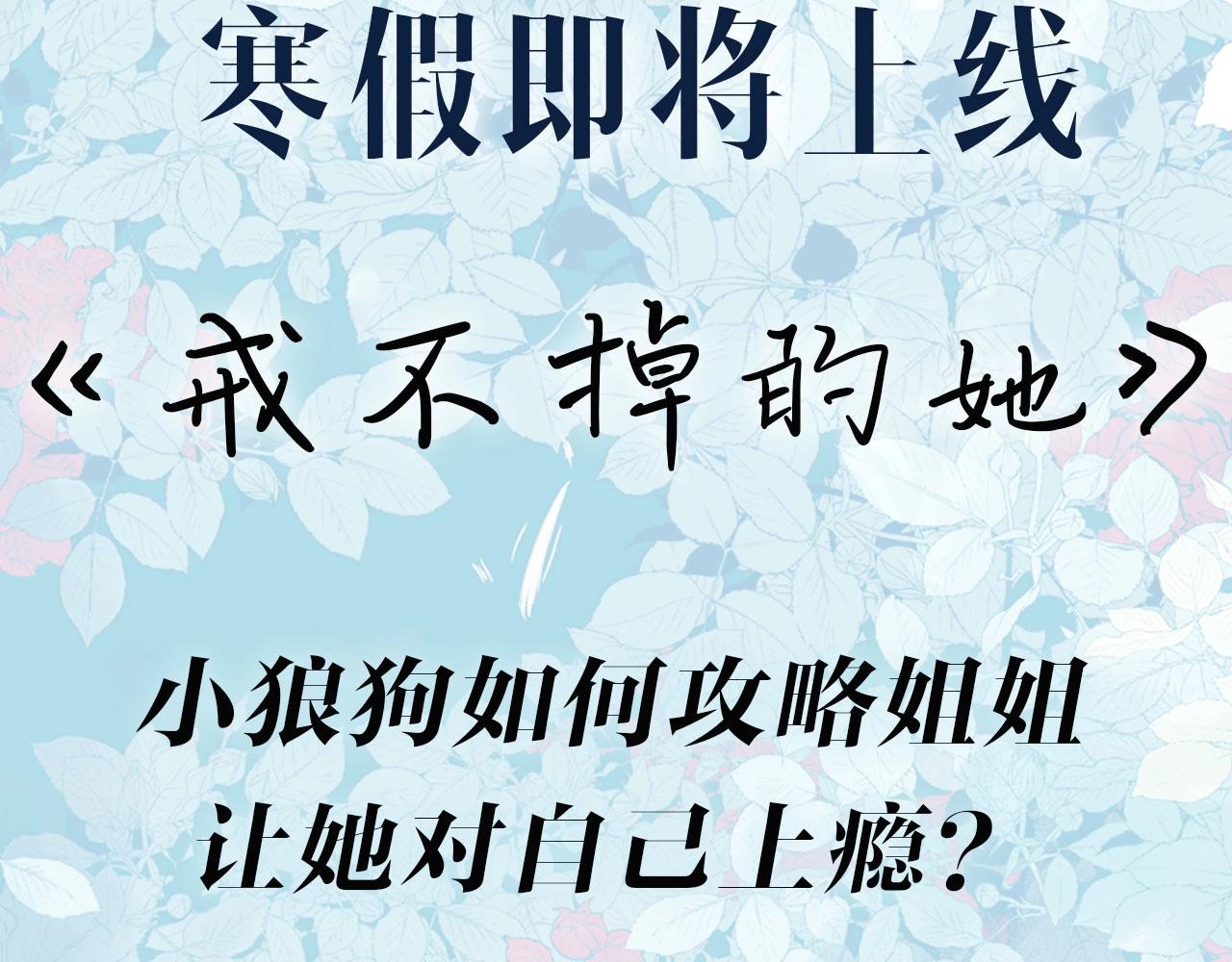 预热！百合新作来袭！13
