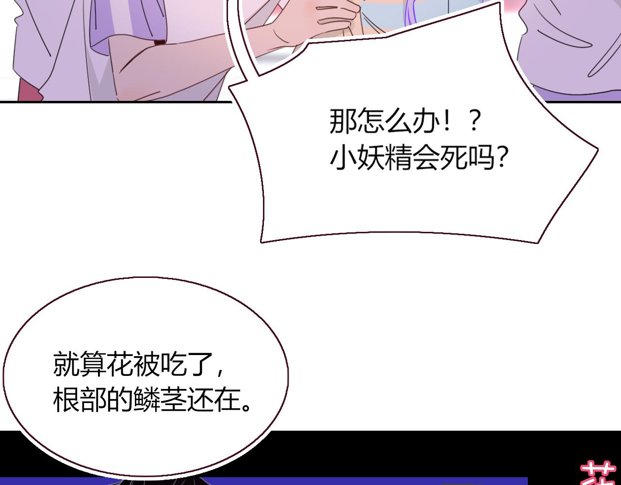 第42话 绝世甜花！甜cry我！5